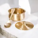 WhatsApp Image 2026-03-28 at 11.38.06 AM.webp