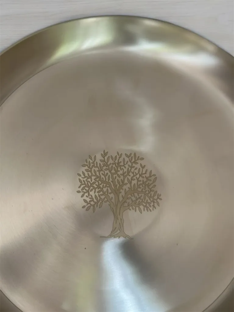 WhatsApp Image 2026-04-12 at 12.25.12 PM.webp