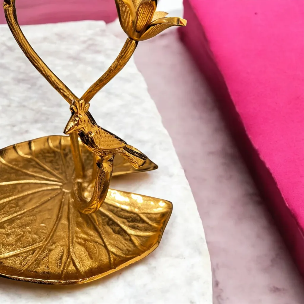 WhatsApp Image 2026-03-14 at 4.43.12 PM (1).webp