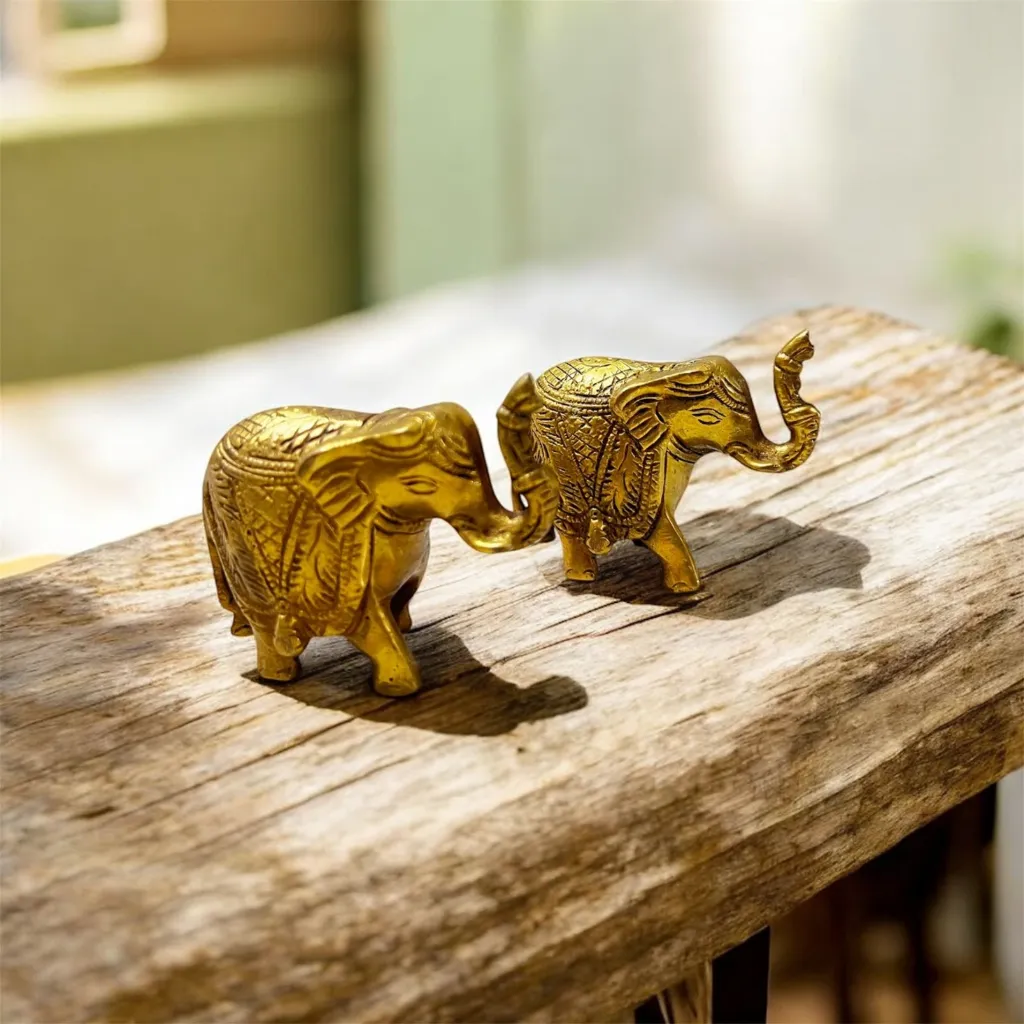 WhatsApp Image 2026-02-04 at 1.13.46 PM (1).webp